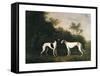 Two Greyhounds-unknown Boultbee-Framed Stretched Canvas
