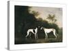 Two Greyhounds-unknown Boultbee-Stretched Canvas