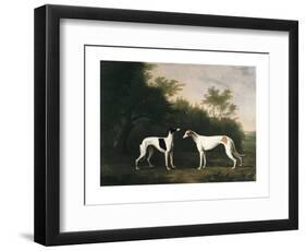 Two Greyhounds-unknown Boultbee-Framed Art Print