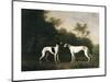 Two Greyhounds-unknown Boultbee-Mounted Art Print