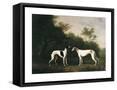 Framed Canvas