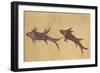 Two Gurnards-Aristotle ibn Bakhtishu-Framed Giclee Print