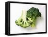 Two Half Broccoli Florets-Janne Peters-Framed Stretched Canvas