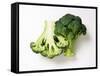 Two Half Broccoli Florets-Janne Peters-Framed Stretched Canvas