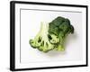 Two Half Broccoli Florets-Janne Peters-Framed Photographic Print