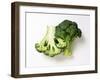 Two Half Broccoli Florets-Janne Peters-Framed Photographic Print