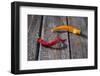 Two Half Dried Chillipods on Old Wood-Jana Ihle-Framed Photographic Print