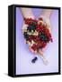 Two Hands Holding Black, Red and White Currants-Marc O^ Finley-Framed Stretched Canvas