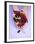 Two Hands Holding Black, Red and White Currants-Marc O^ Finley-Framed Photographic Print