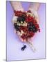 Two Hands Holding Black, Red and White Currants-Marc O^ Finley-Mounted Photographic Print