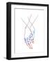 Two Hands-Hanna Lee Tidd-Framed Photographic Print