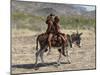 Two Happy Himba Girls Ride a Donkey to Market, Namibia-Nigel Pavitt-Mounted Photographic Print