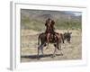 Two Happy Himba Girls Ride a Donkey to Market, Namibia-Nigel Pavitt-Framed Photographic Print