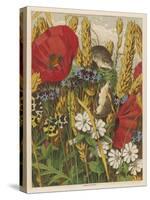 Two Harvest Mice Among the Ears of Corn and Poppies-null-Stretched Canvas