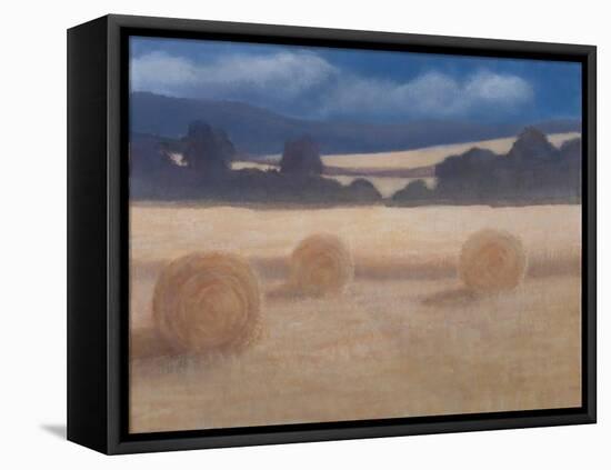 Two Hay Bales, 2012-Lincoln Seligman-Framed Stretched Canvas