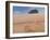 Two Hay Bales, 2012-Lincoln Seligman-Framed Giclee Print