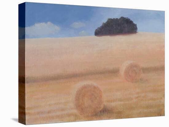 Two Hay Bales, 2012-Lincoln Seligman-Stretched Canvas