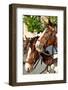 Two Head Horses-snoofek-Framed Photographic Print