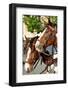 Two Head Horses-snoofek-Framed Photographic Print