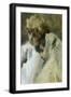 Black Frame