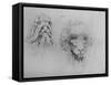 Two Heads of Monsters', c1480 (1945)-Leonardo Da Vinci-Framed Stretched Canvas
