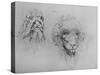 Two Heads of Monsters', c1480 (1945)-Leonardo Da Vinci-Stretched Canvas