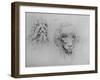 Two Heads of Monsters', c1480 (1945)-Leonardo Da Vinci-Framed Giclee Print