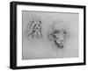 Two Heads of Monsters', c1480 (1945)-Leonardo Da Vinci-Framed Giclee Print