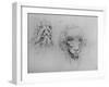 Two Heads of Monsters', c1480 (1945)-Leonardo Da Vinci-Framed Giclee Print