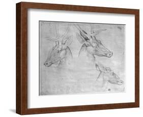 Two Heads of Stags, One Head of a Doe-Antonio Pisani Pisanello-Framed Giclee Print