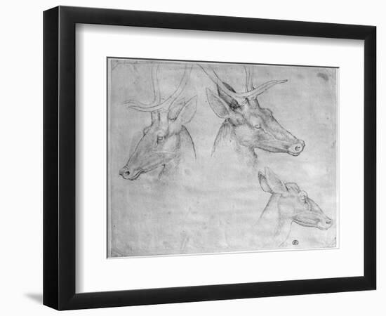 Two Heads of Stags, One Head of a Doe-Antonio Pisani Pisanello-Framed Giclee Print