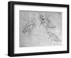 Two Heads of Stags, One Head of a Doe-Antonio Pisani Pisanello-Framed Giclee Print