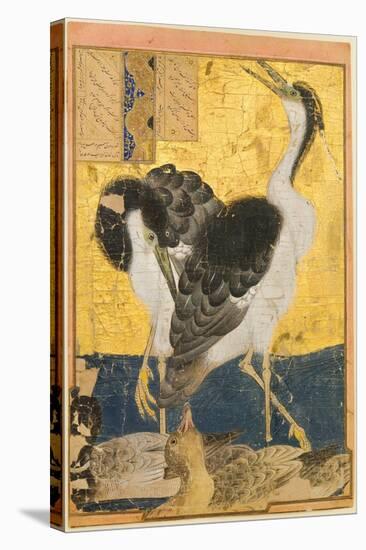 Two Herons with Ducks-null-Stretched Canvas