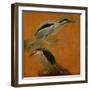 Two herons-Pieter Boel-Framed Giclee Print