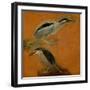 Two herons-Pieter Boel-Framed Giclee Print