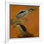 Two herons-Pieter Boel-Framed Giclee Print