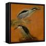 Two herons-Pieter Boel-Framed Stretched Canvas