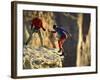 Two Hikers with Ropes at the Edge of a Cliff-null-Framed Photographic Print