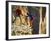 Two Hikers with Ropes at the Edge of a Cliff-null-Framed Photographic Print