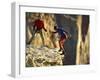 Two Hikers with Ropes at the Edge of a Cliff-null-Framed Photographic Print