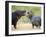 Two Hippopotamuses Sparring in a Forest, Ngorongoro Crater, Ngorongoro, Tanzania-null-Framed Photographic Print