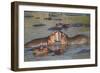 Two Hippos Fighting in Foreground of Mostly Submerged Hippos in Pool-James Heupel-Framed Photographic Print