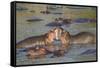 Two Hippos Fighting in Foreground of Mostly Submerged Hippos in Pool-James Heupel-Framed Stretched Canvas