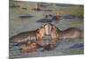 Two Hippos Fighting in Foreground of Mostly Submerged Hippos in Pool-James Heupel-Mounted Photographic Print