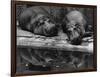 Two Hippos Rest by a Pool-null-Framed Photographic Print
