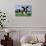 Two Holstein Cows in Grass Field-null-Photo displayed on a wall