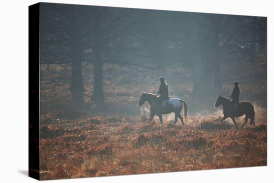 Two Horseback Riders Make their Way Through Misty Richmond Park in Winter-Alex Saberi-Stretched Canvas