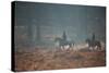 Two Horseback Riders Make their Way Through Misty Richmond Park in Winter-Alex Saberi-Stretched Canvas