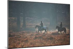 Two Horseback Riders Make their Way Through Misty Richmond Park in Winter-Alex Saberi-Mounted Photographic Print