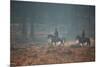 Two Horseback Riders Make their Way Through Misty Richmond Park in Winter-Alex Saberi-Mounted Photographic Print